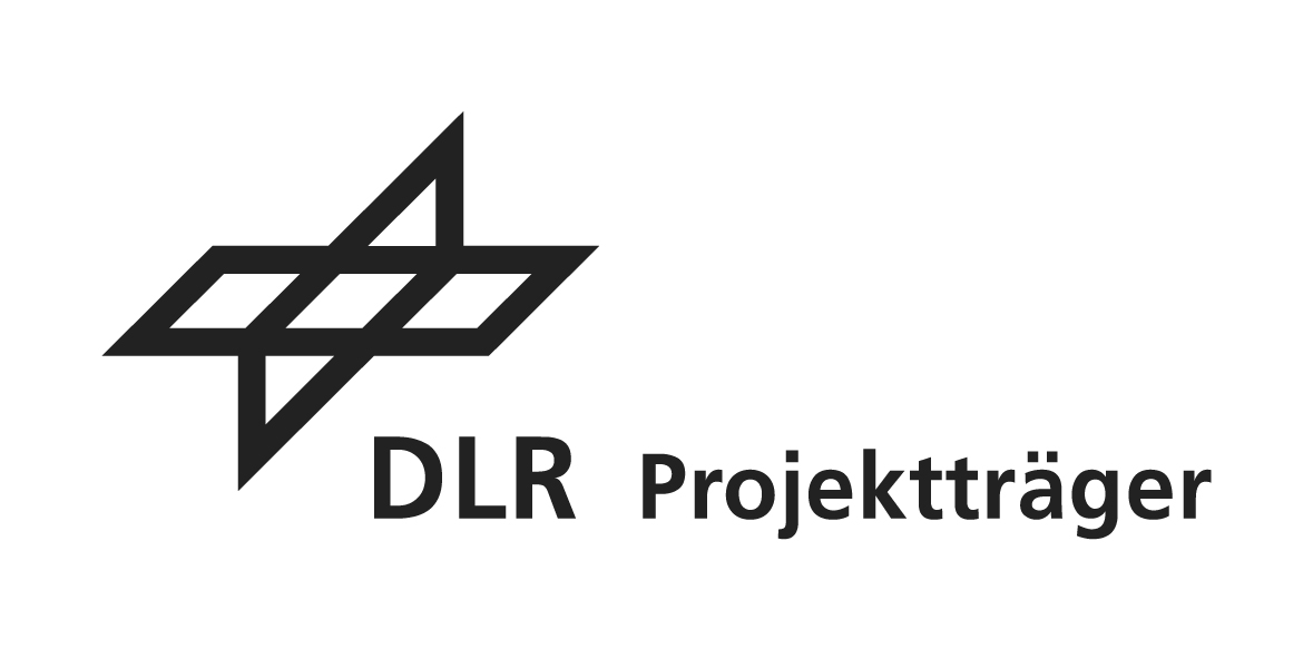 DLR Logo